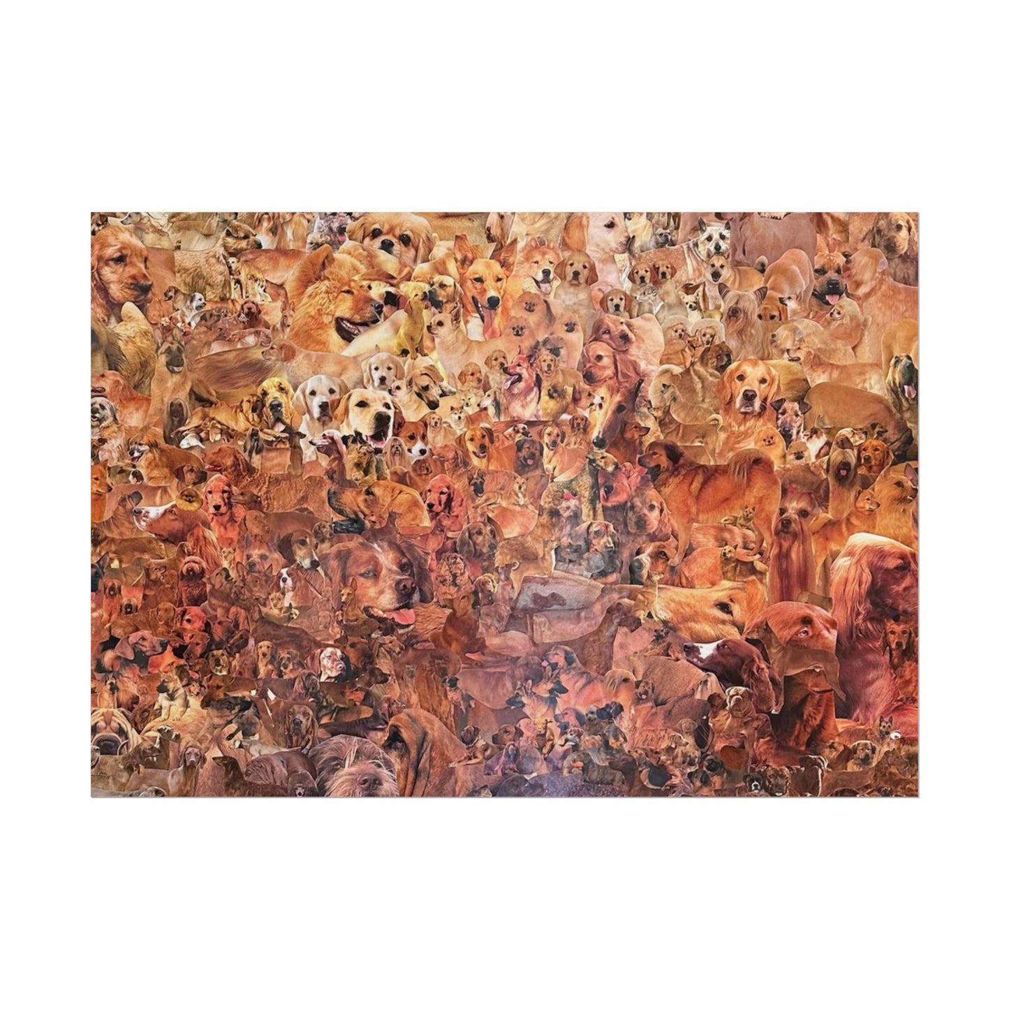 ombre dog poster