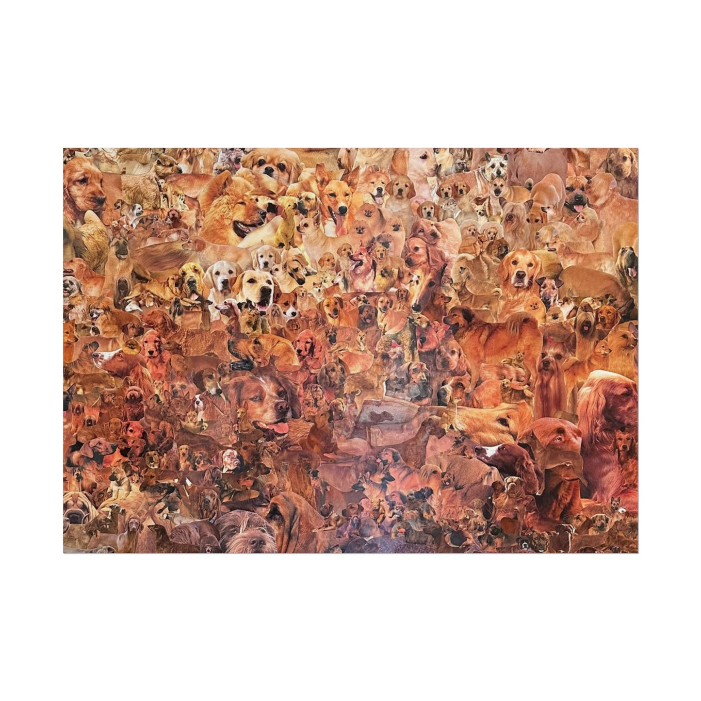 ombre dog poster