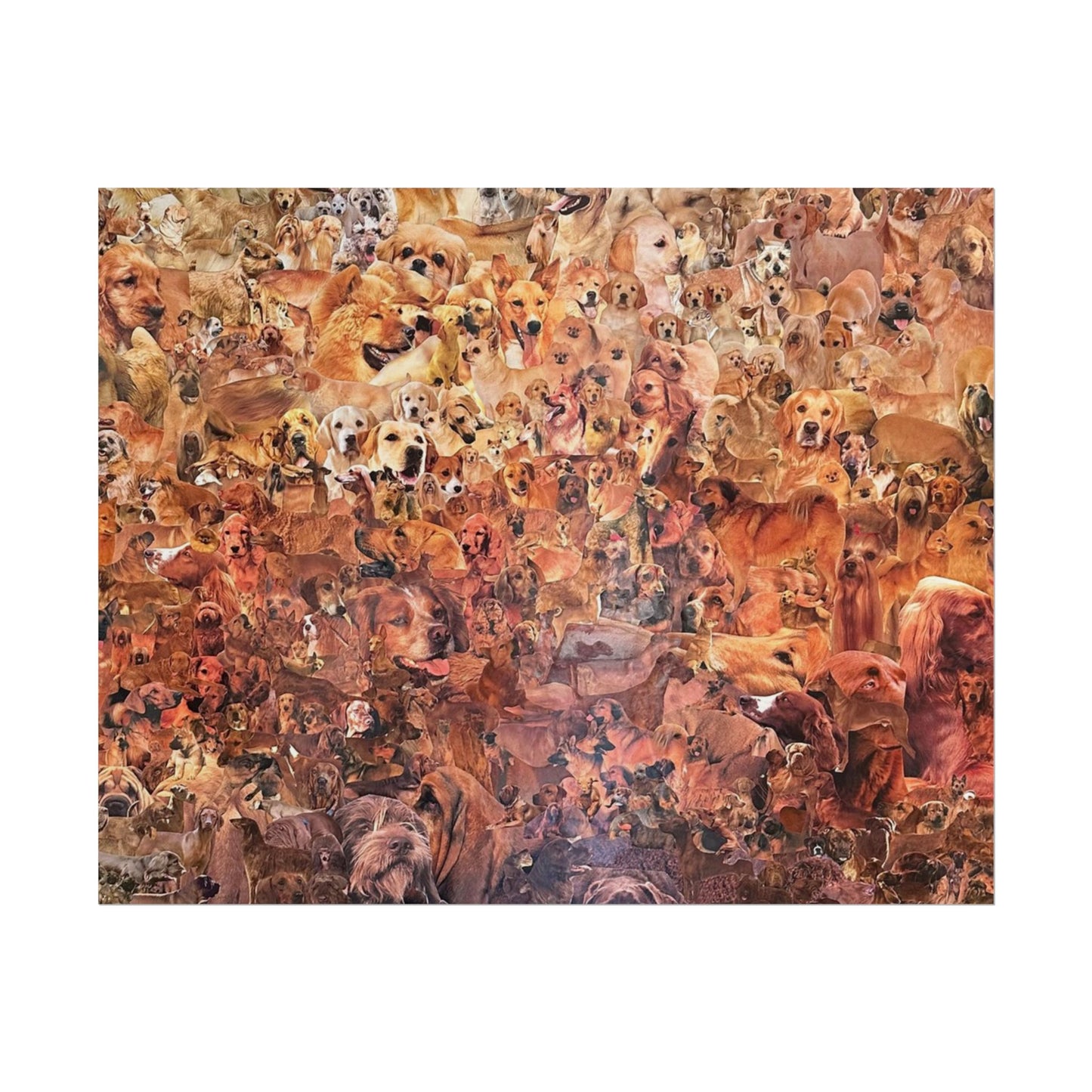 ombre dog poster
