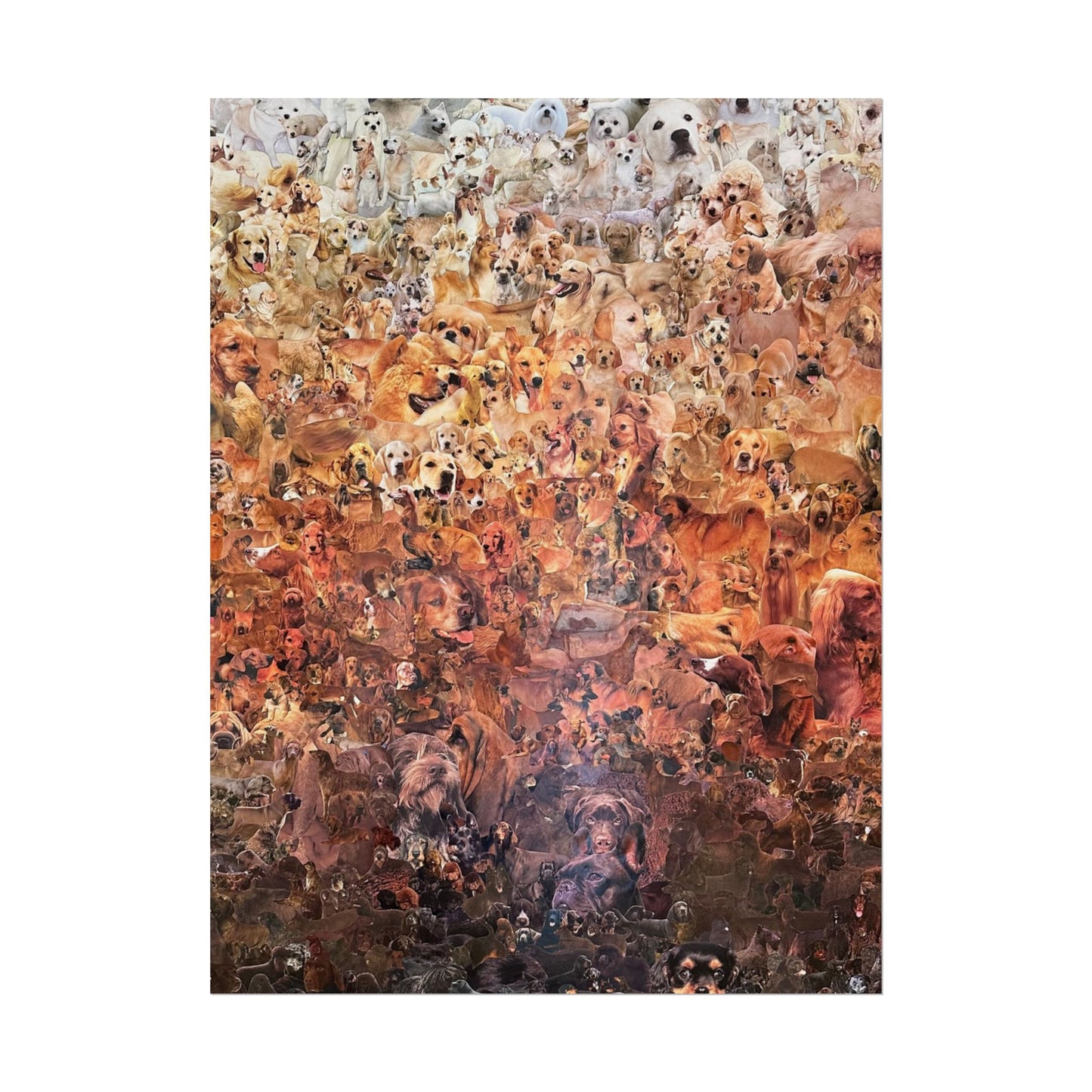 ombre dog poster