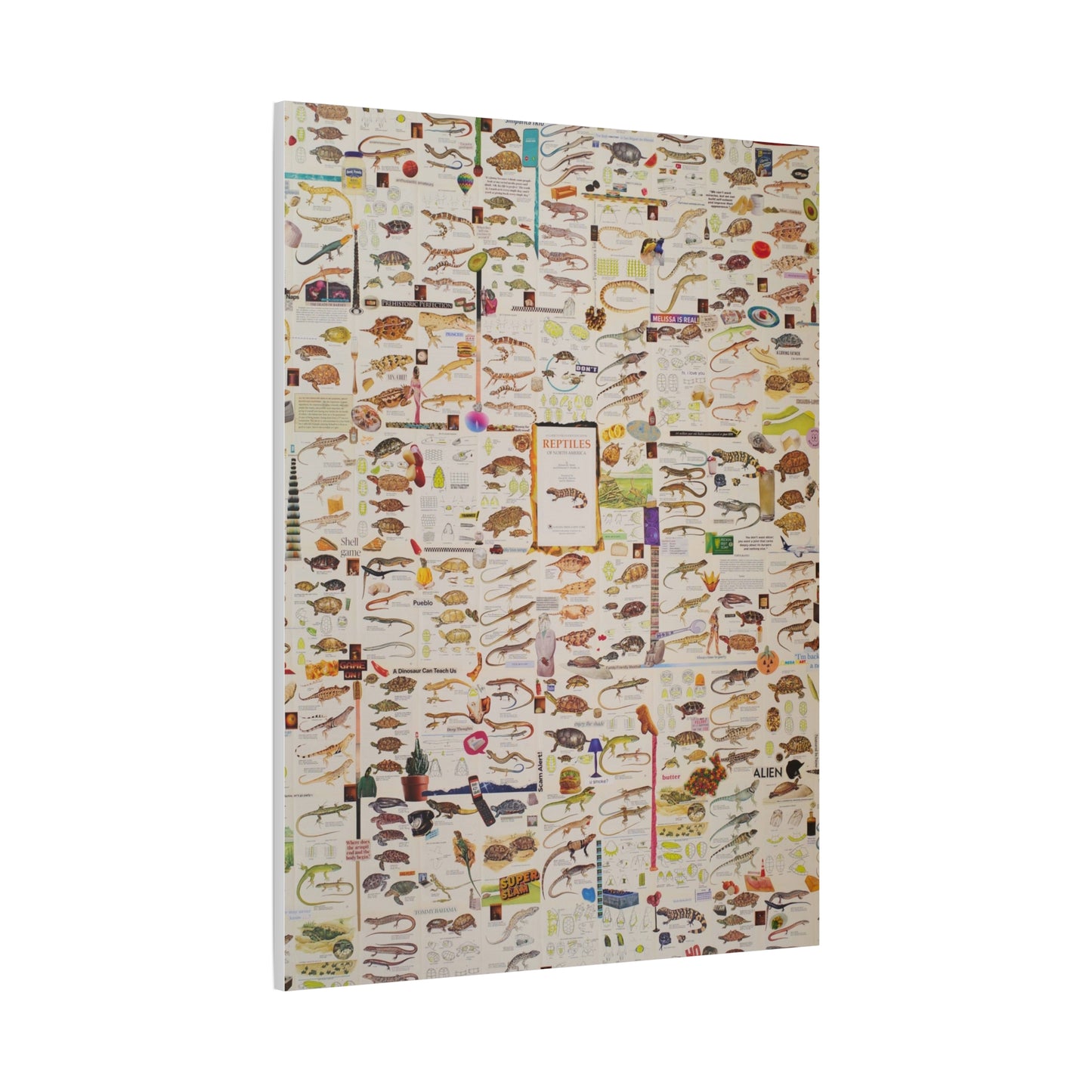 lizard canvas print
