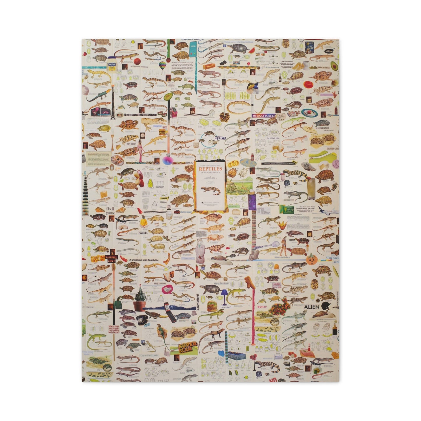 lizard canvas print