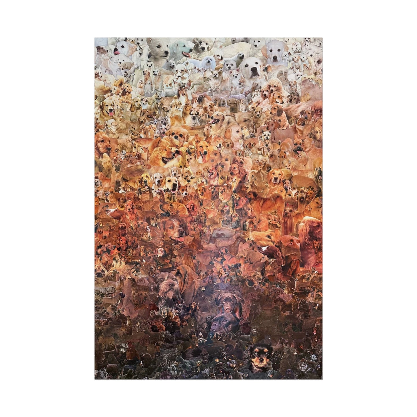 ombre dog poster