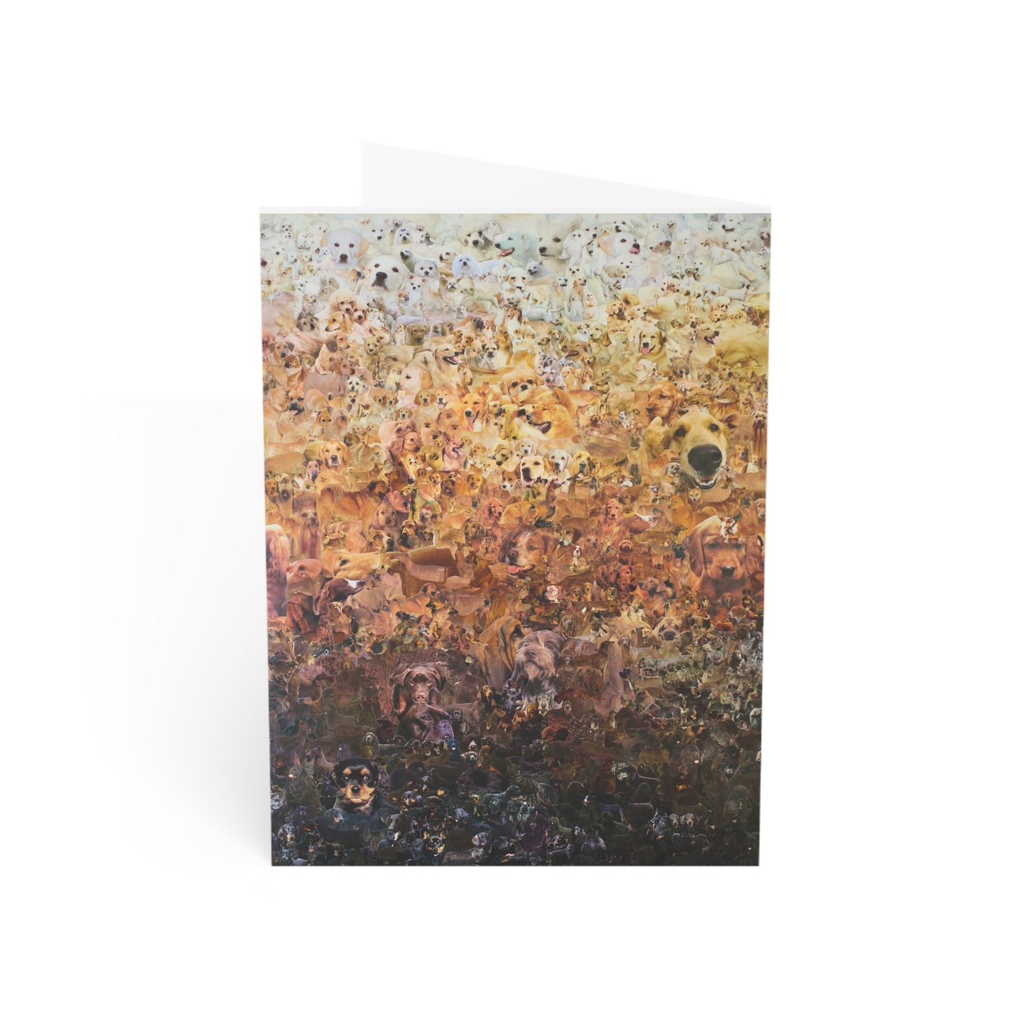 ombre dog card II