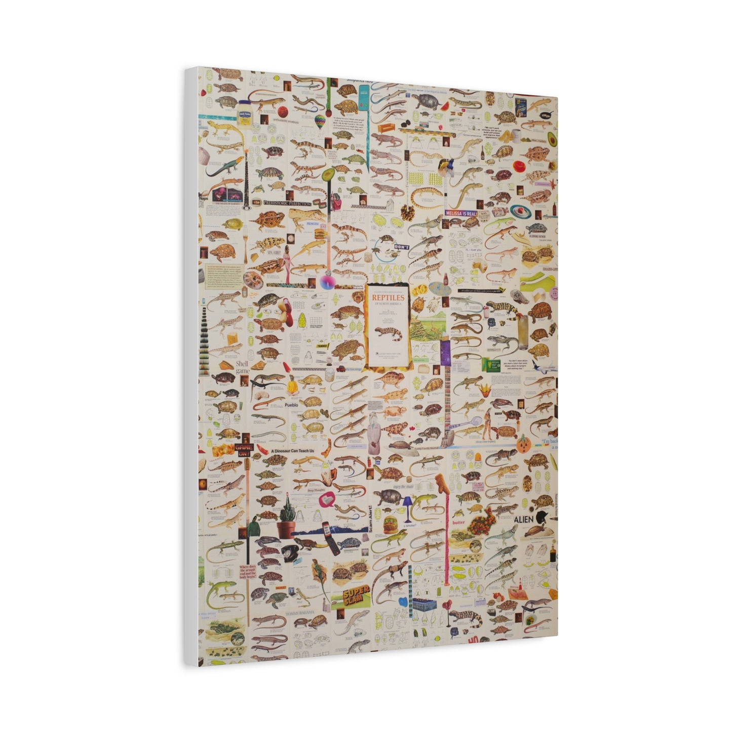 lizard canvas print