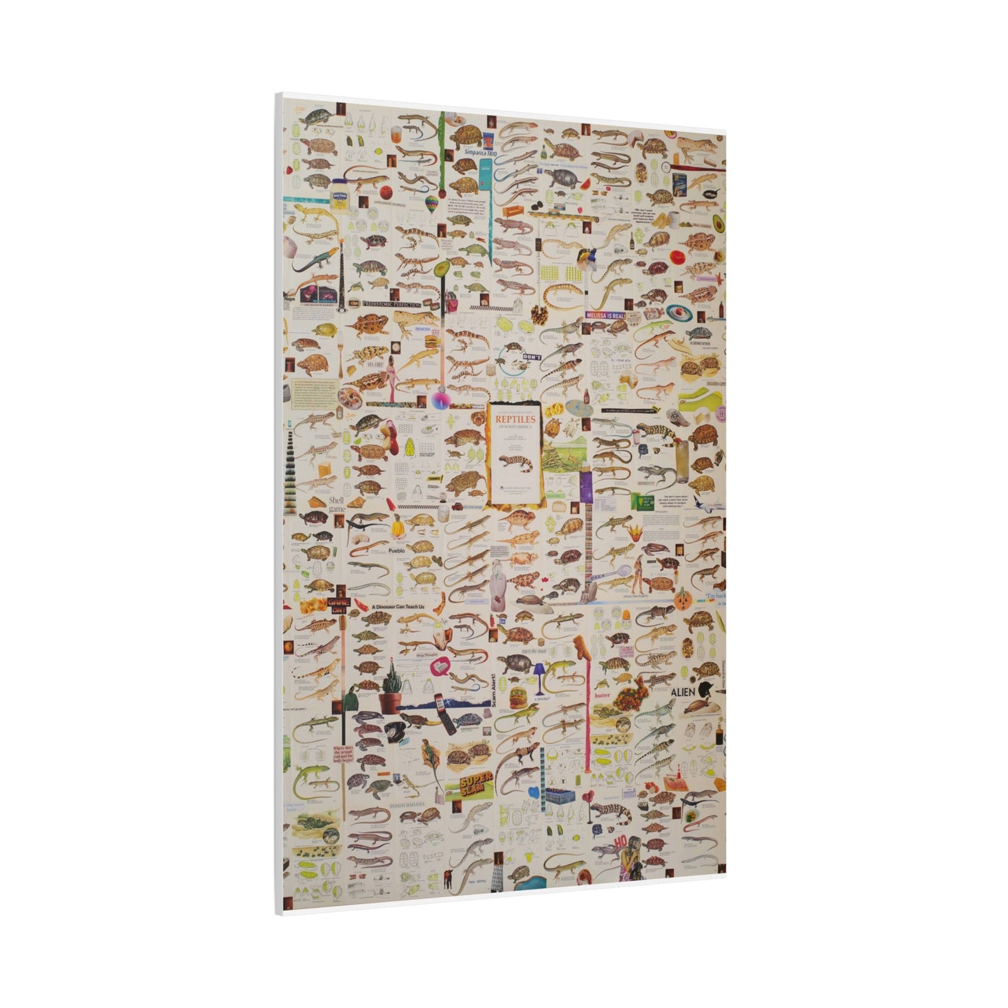 lizard canvas print