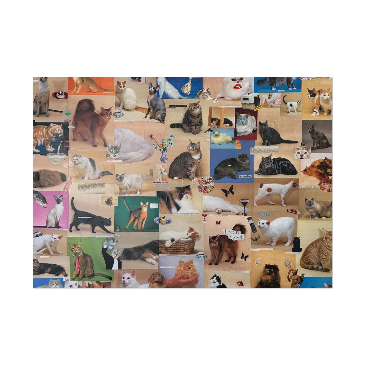 fancy cat poster (cropped)