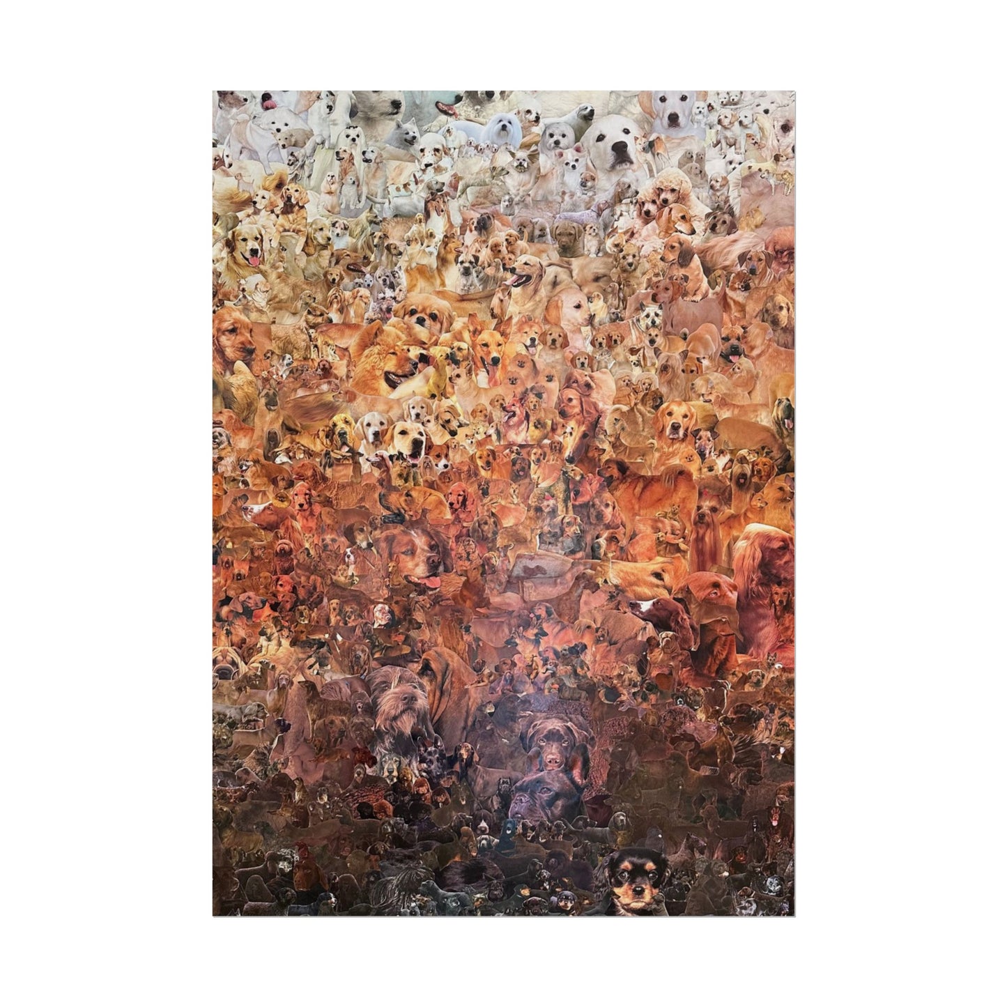 ombre dog poster