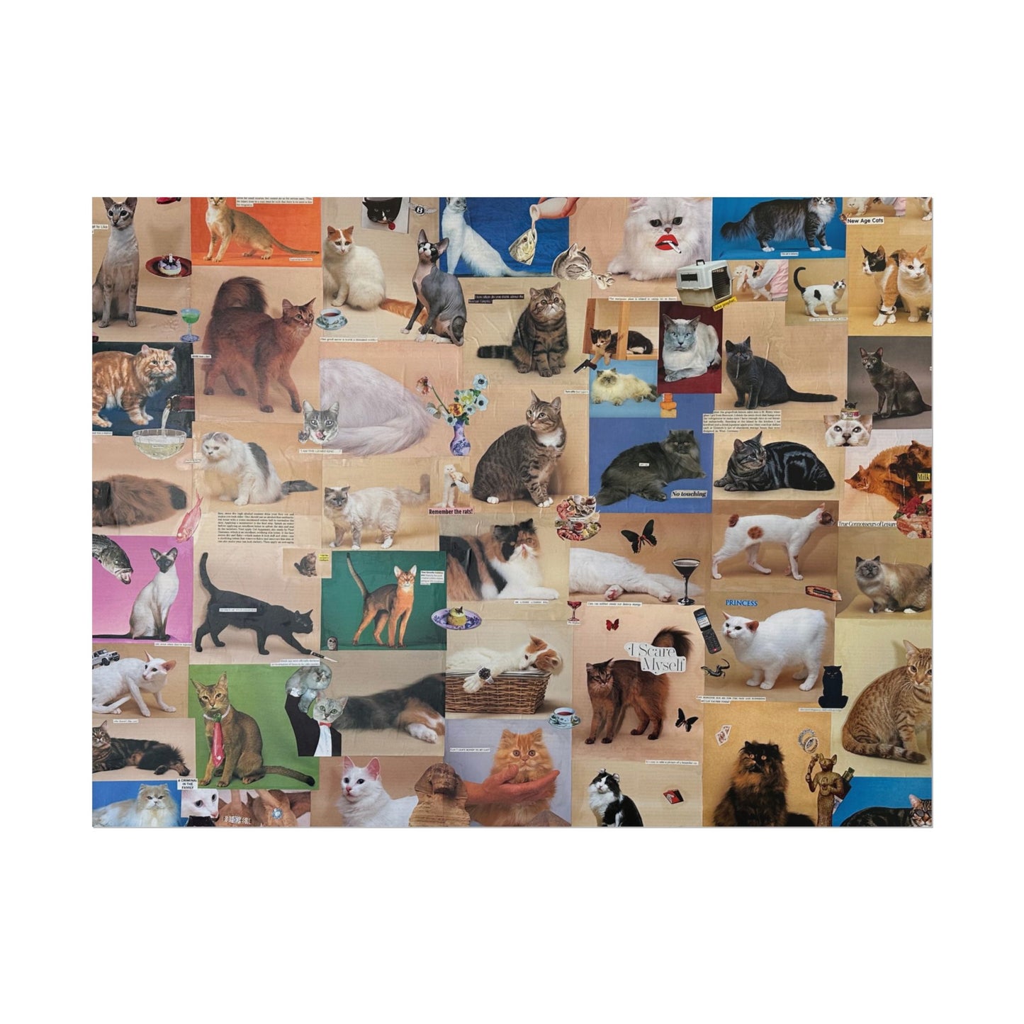 fancy cat poster (cropped)