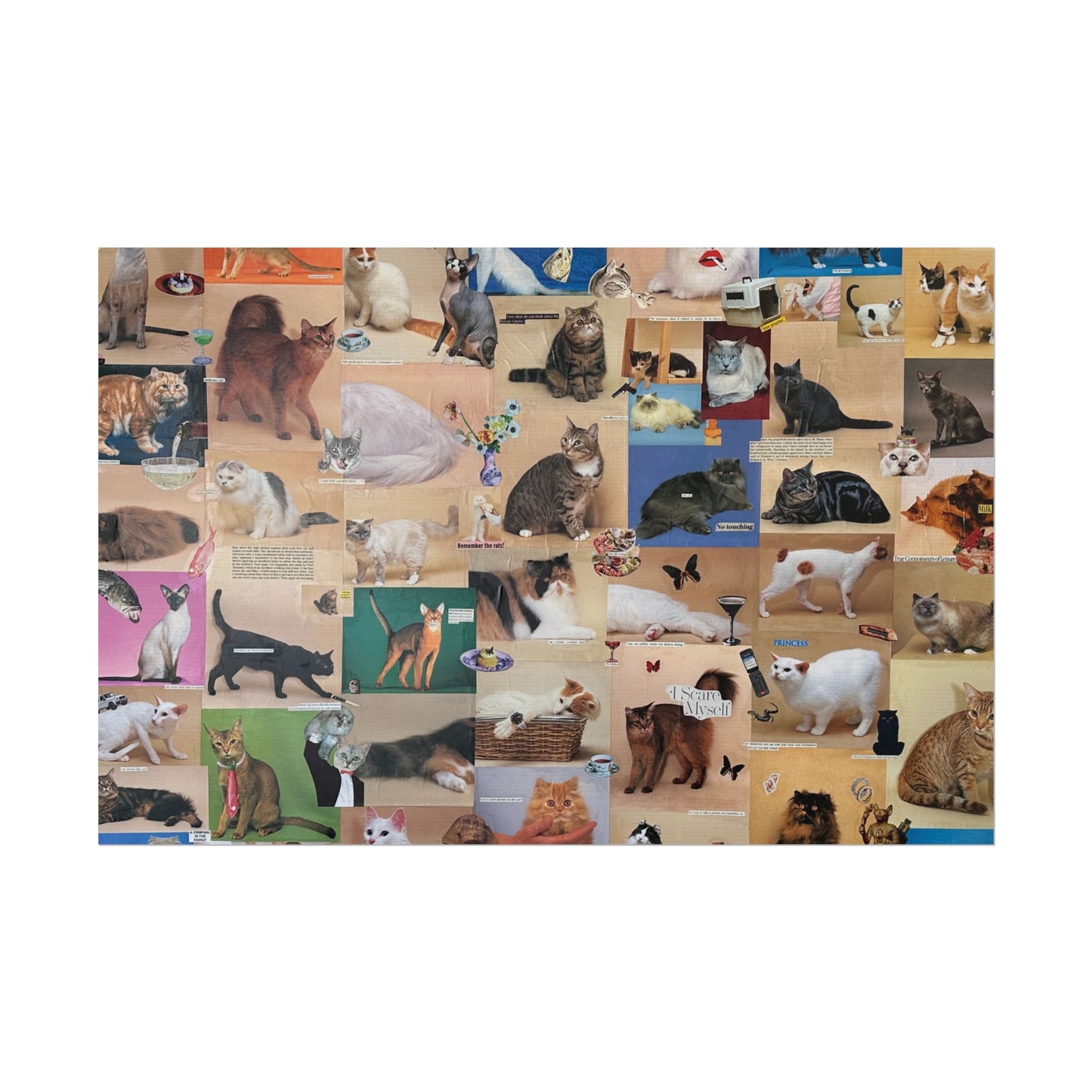 fancy cat poster (cropped)