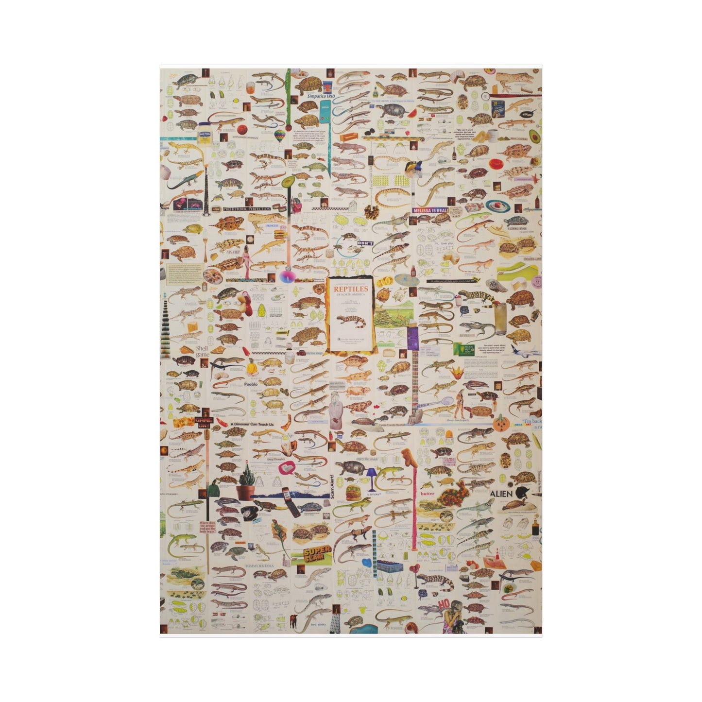 lizard canvas print