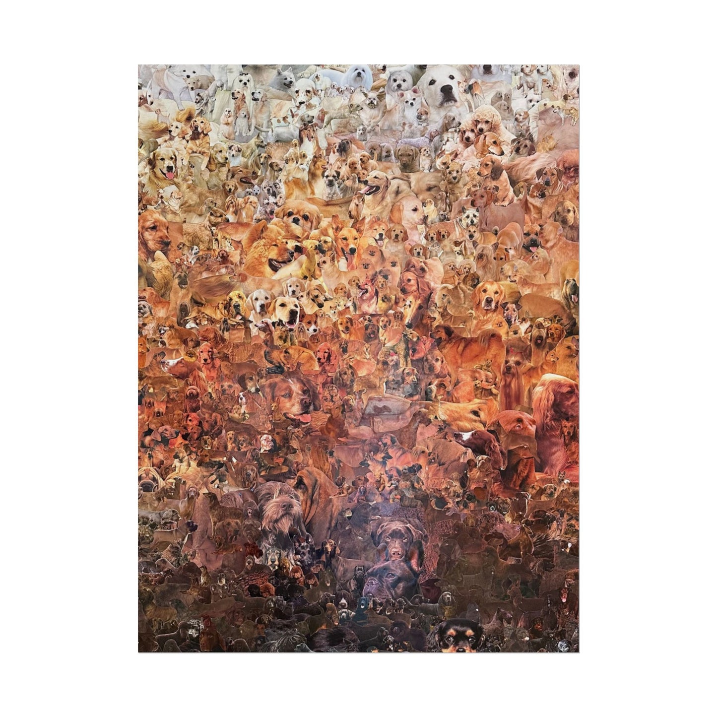 ombre dog poster