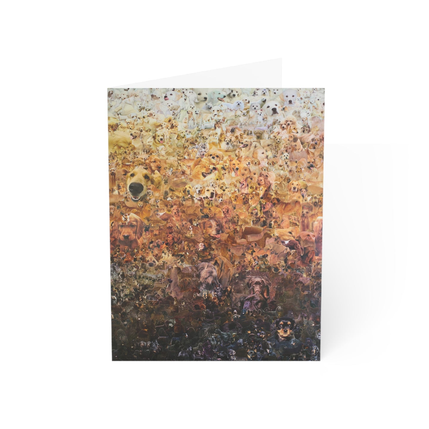 ombre dog card II