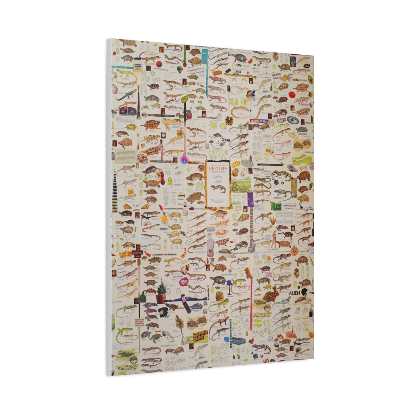 lizard canvas print