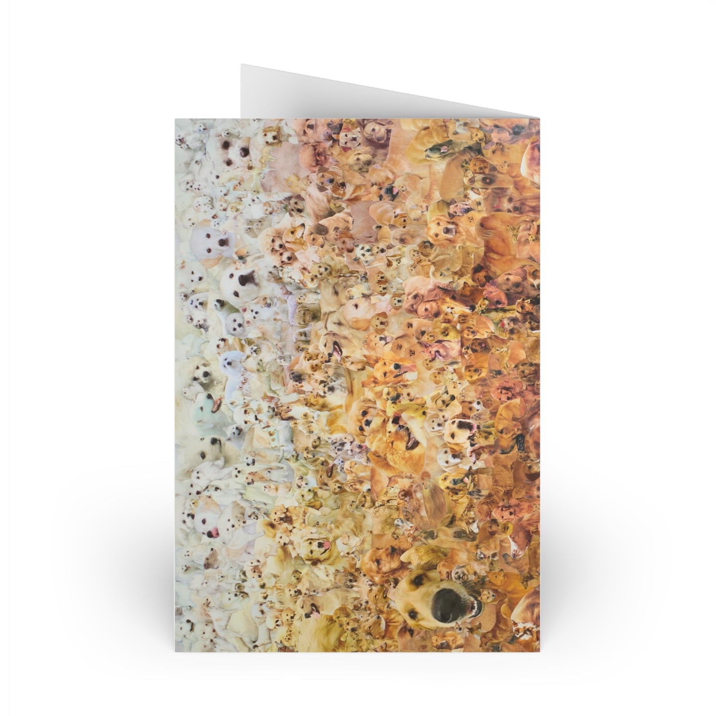 ombre dog card