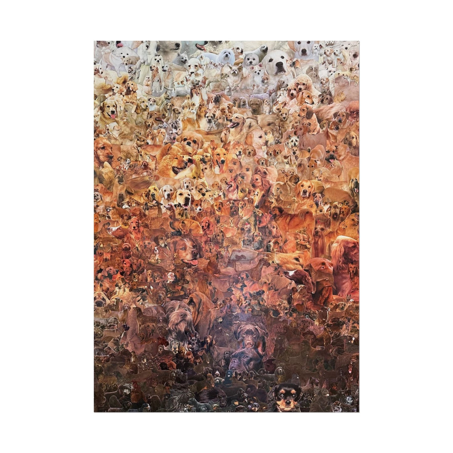 ombre dog poster