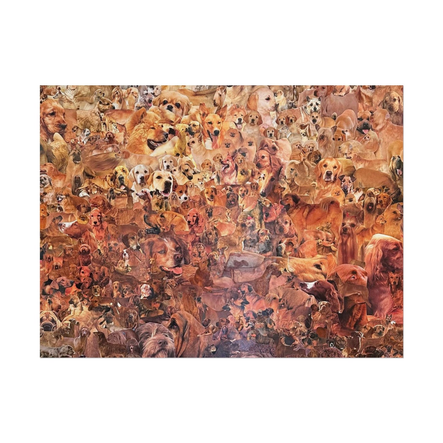 ombre dog poster