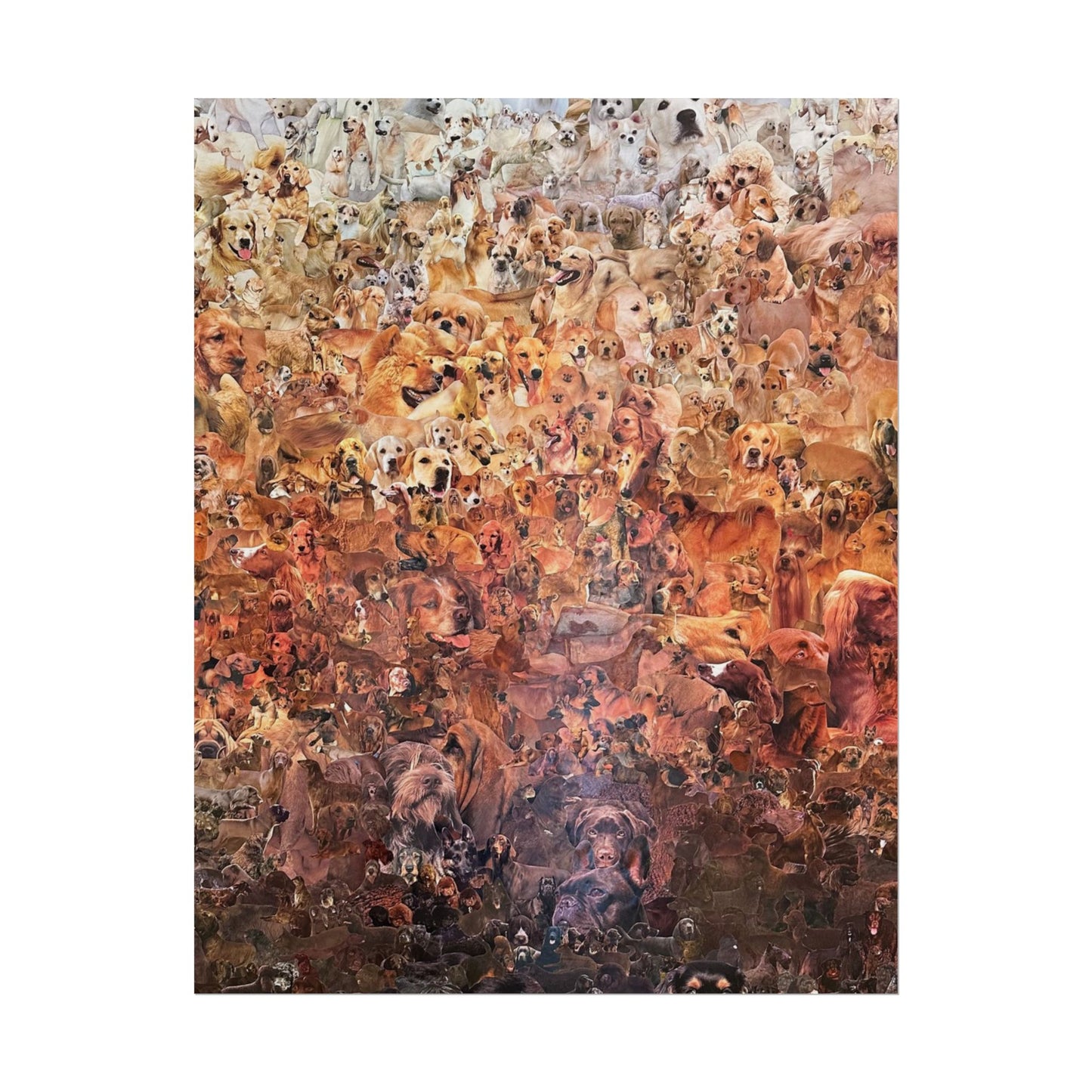 ombre dog poster