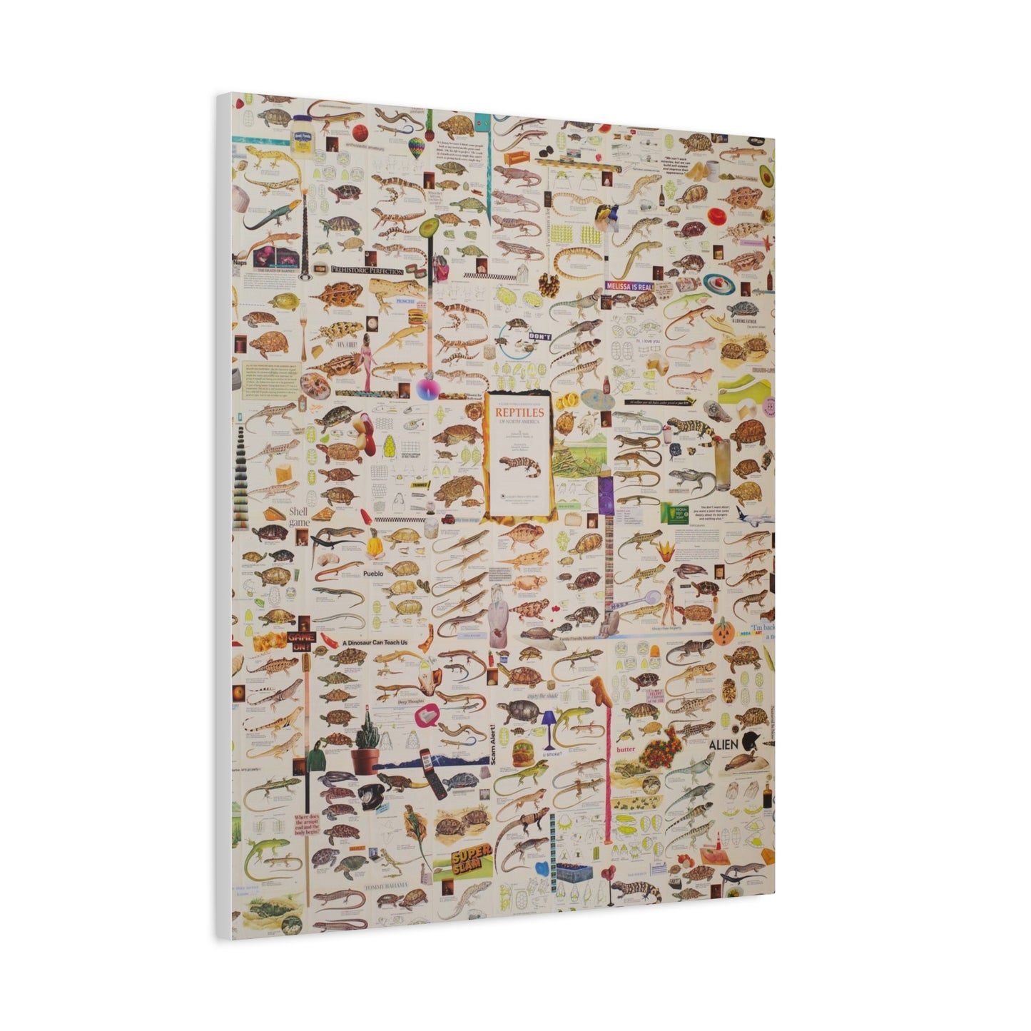 lizard canvas print