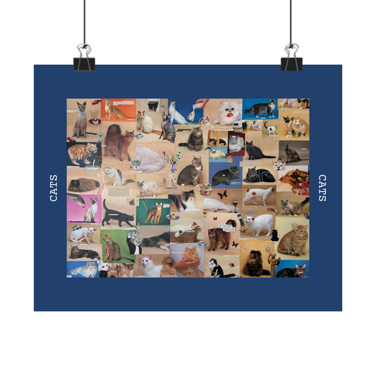 fancy cat poster (with border)
