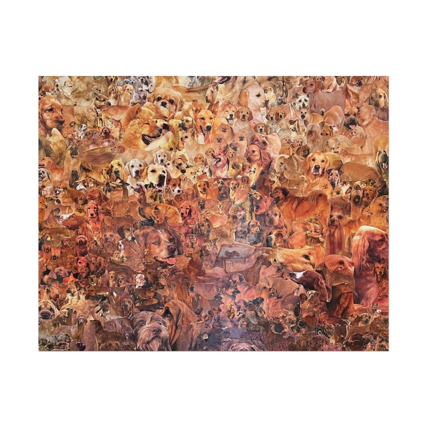 ombre dog poster