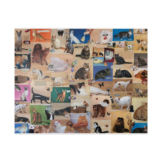 fancy cat poster (cropped)