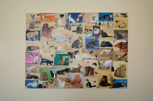 the original fancy cats on canvas