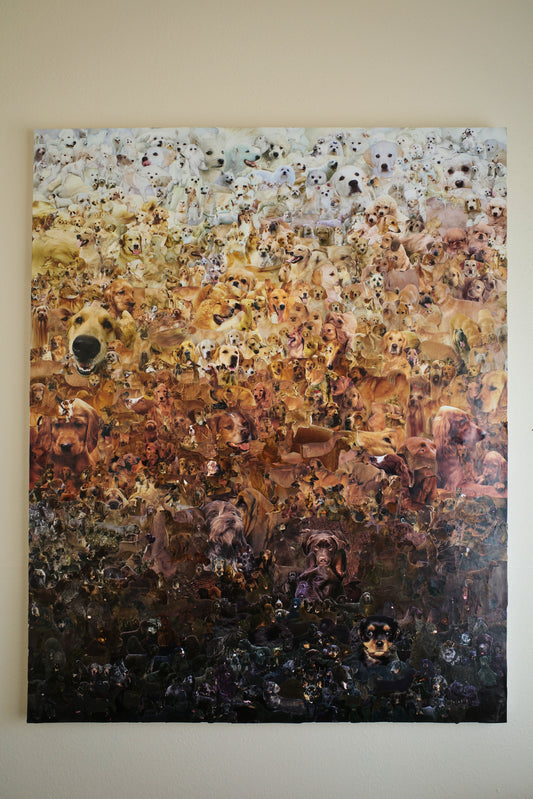 the original dogs on canvas